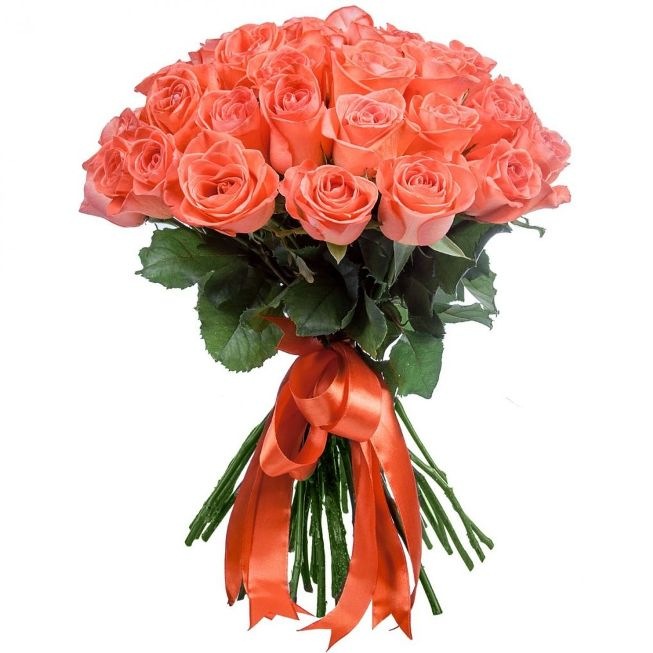 25 коралловых роз (50 см)