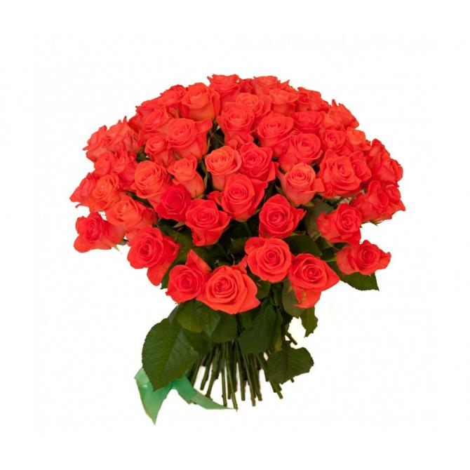 55 коралловых роз (60 см)