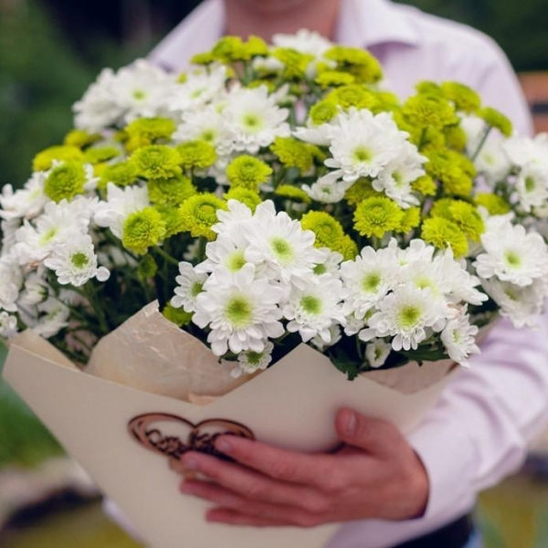 19 кустовых бело-зеленых хризантем