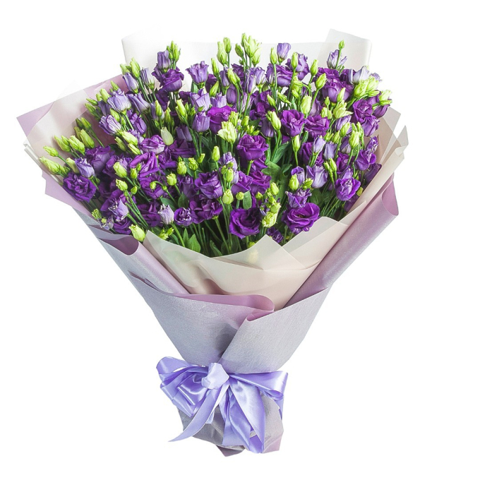 31 Фиолетовая эустома