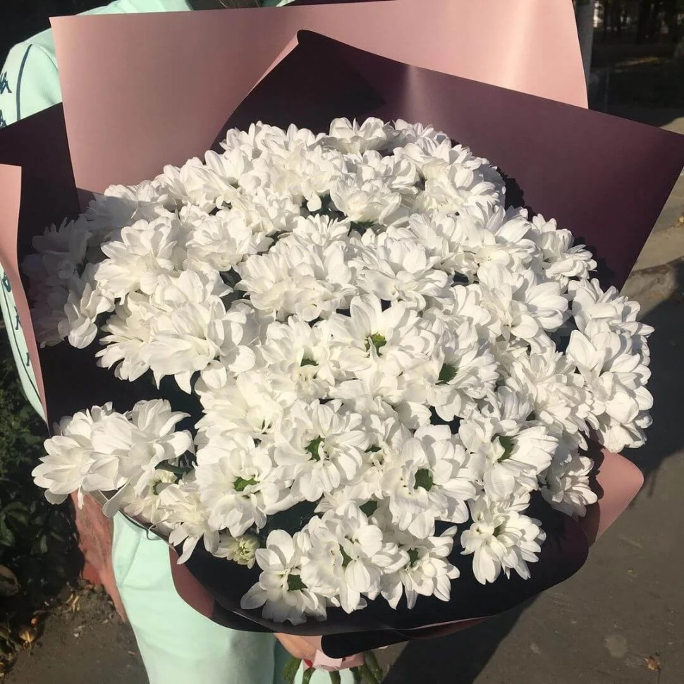 19 белых хризантем