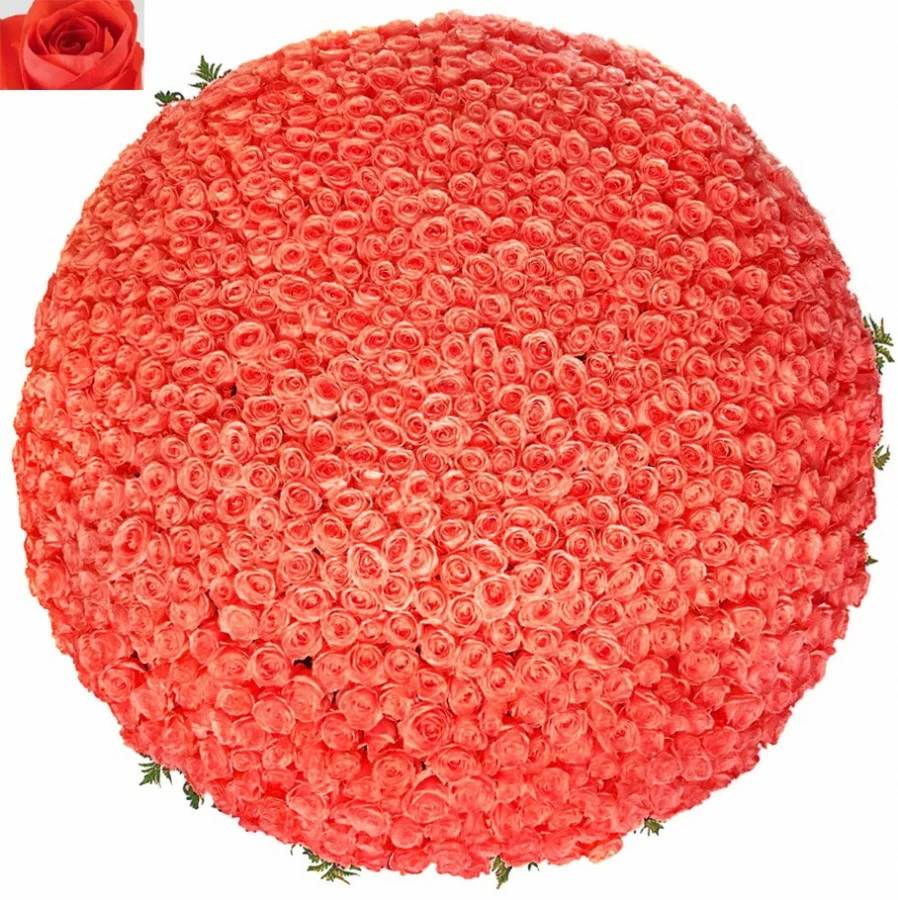 1001 оранжевая роза (50 см)