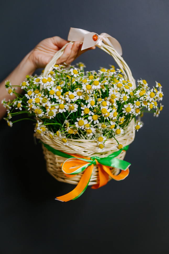 25 кустовых маргариток в корзине