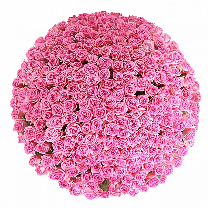 251 розовая роза (60 см)