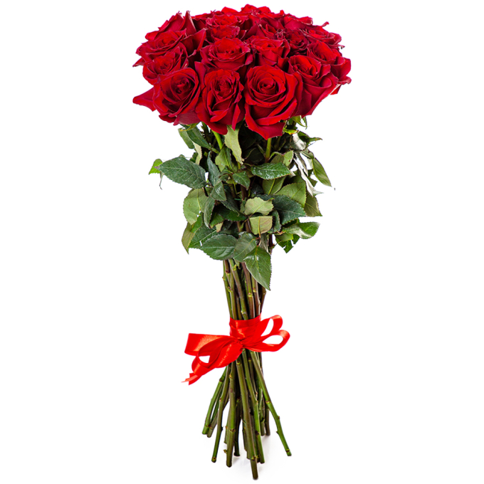 19 красных роз (70 см)