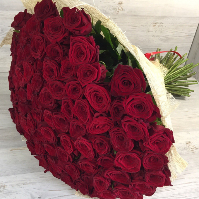 251 бордовая роза (70 см)