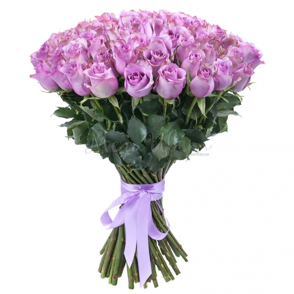 501 фиолетовая роза (50 см)