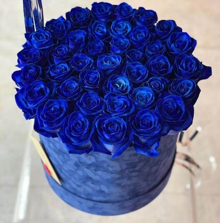 Коробка с 51 синей розой