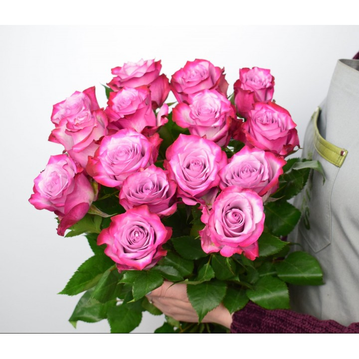 15 сиреневых роз (50 см)