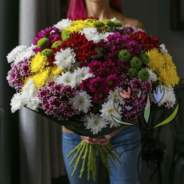 Смесь из 35 кустов хризантем.