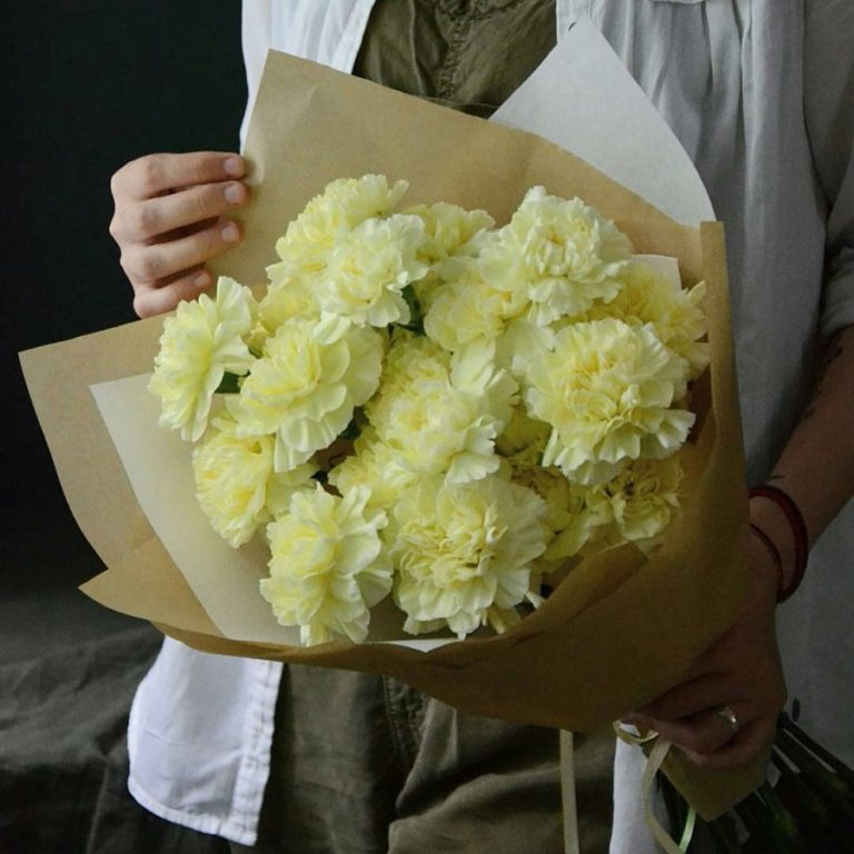 17 желто-зеленых гвоздик
