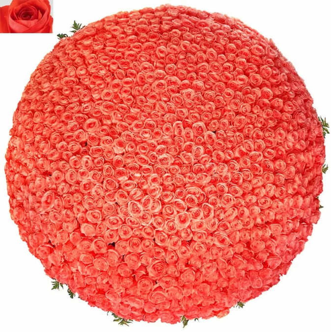 1001 оранжевая роза (60 см)