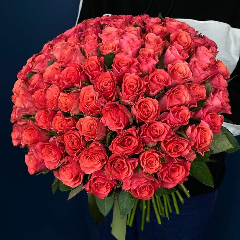 101 коралловая роза (50 см)