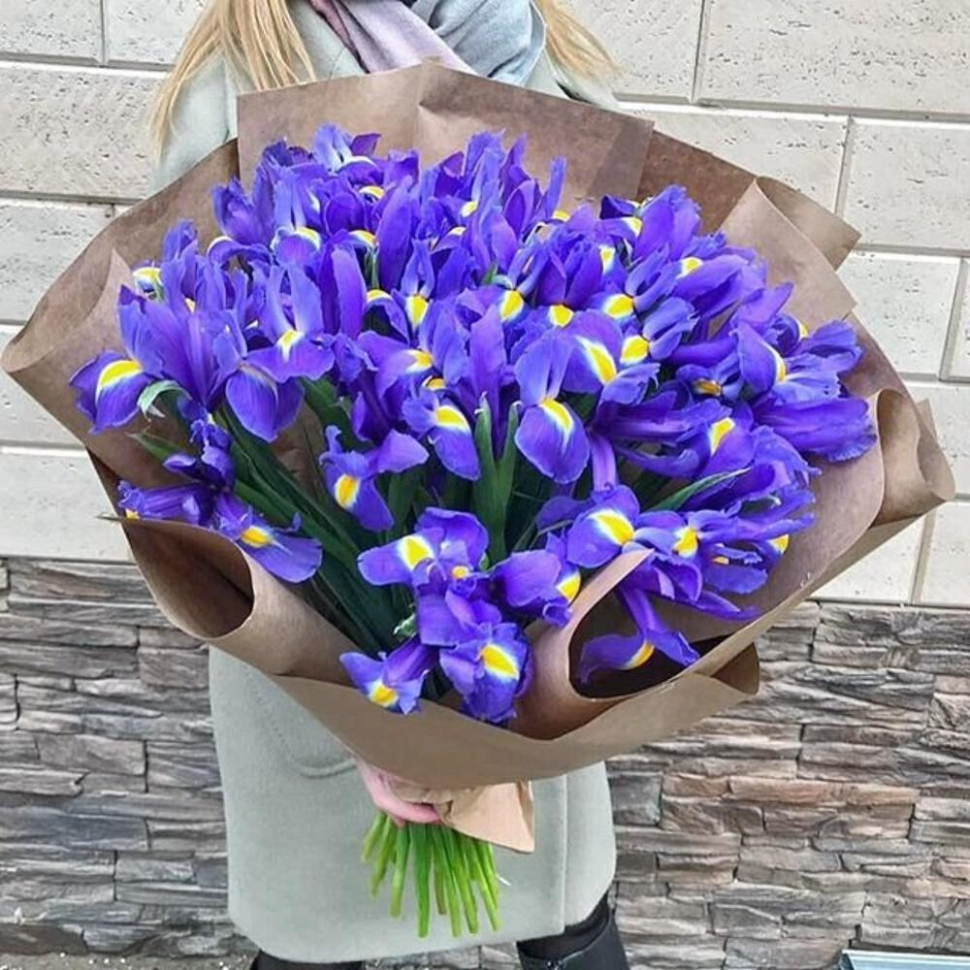 35 голубых ирисов