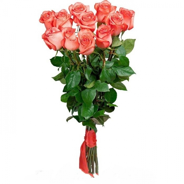 11 коралловых роз (60 см)