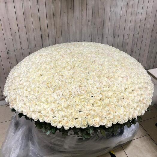 1001 белая роза (60 см)