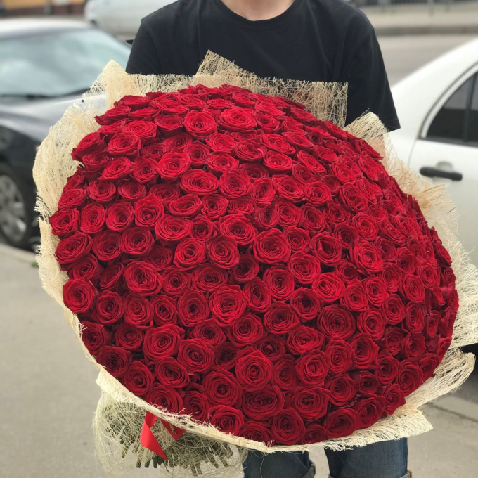151 бордовая роза (70 см)