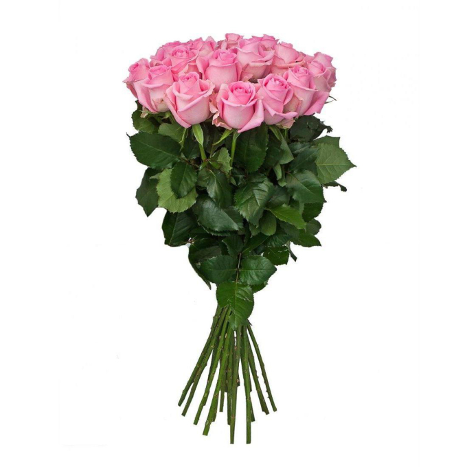 15 розовых роз (70 см)