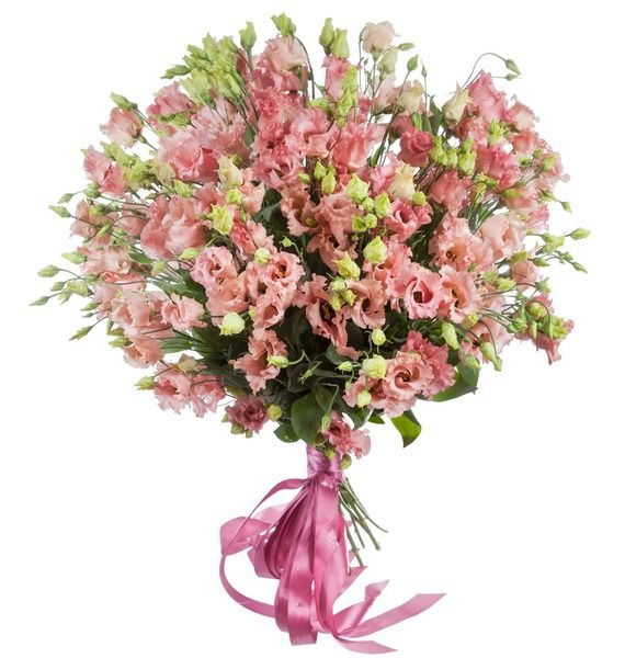 25 розовых эустом