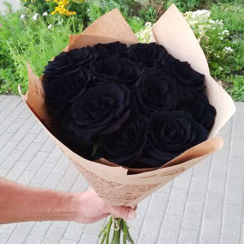 11 черных роз (70 см)