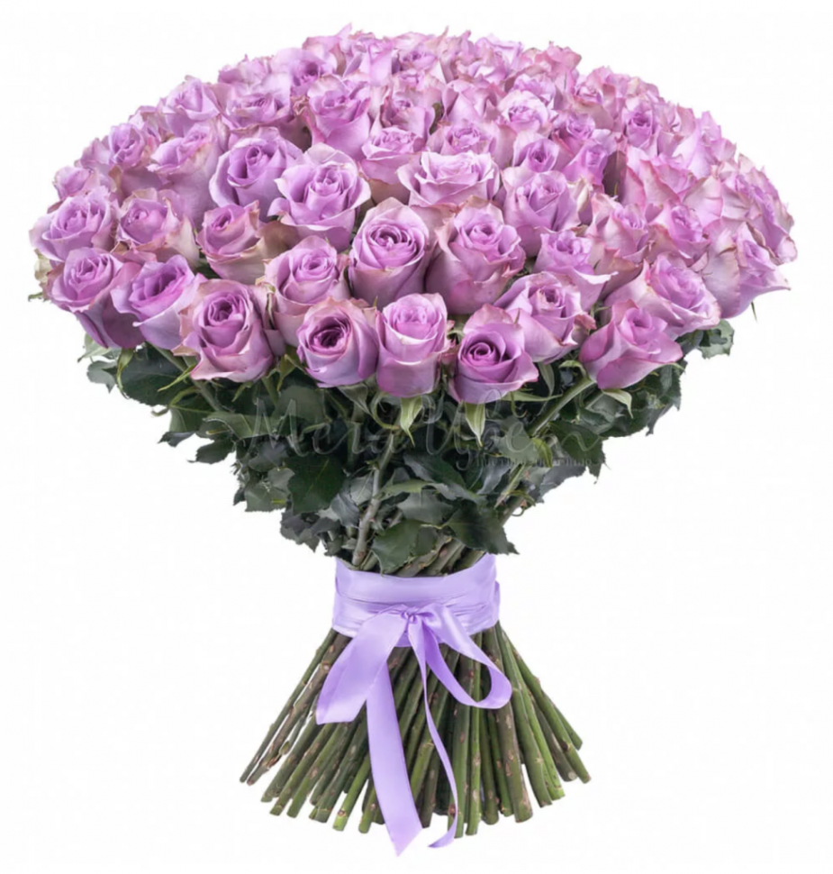 251 фиолетовая роза (50 см)