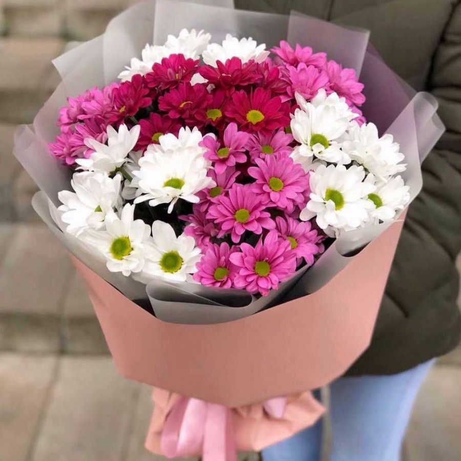 7 белых и розовых кустовых хризантем