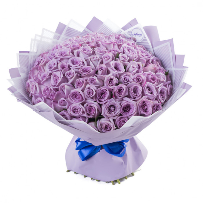 101 фиолетовая роза (70 см)