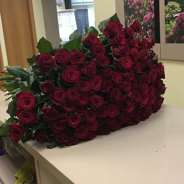 75 бордовых роз (60 см)