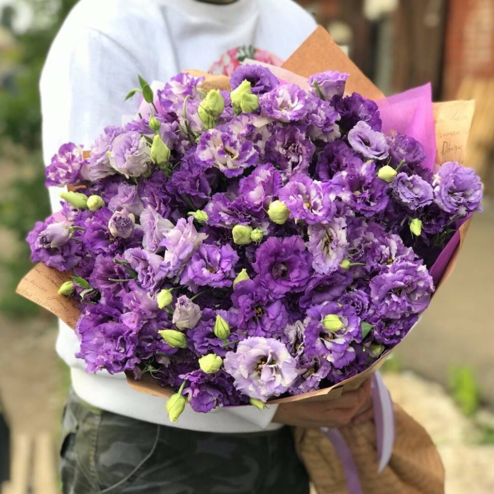 19 Фиолетовая эустома