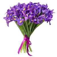Ирисы